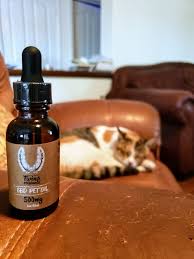PET CBD OIL